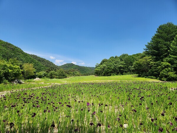 국립자생식물원 전경