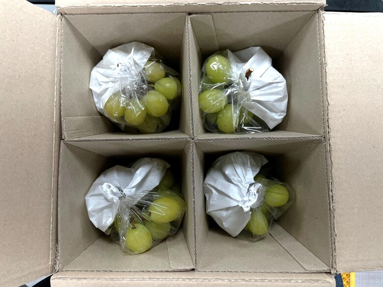 개발 상자 포장(농진청 제공)