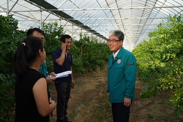 임상섭 산림청장(오른쪽), 폭염대비 대추생산 임가 현장점검을 하고 있다. (산림청 제공)