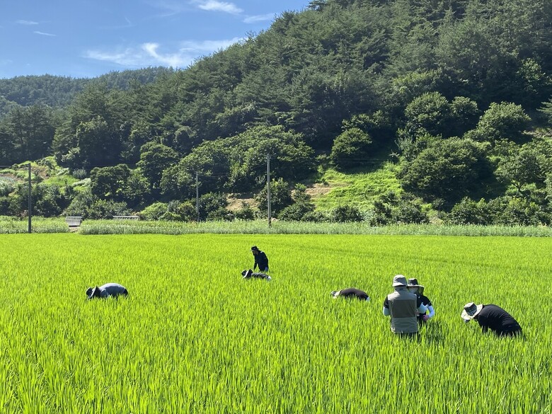 자료 DB