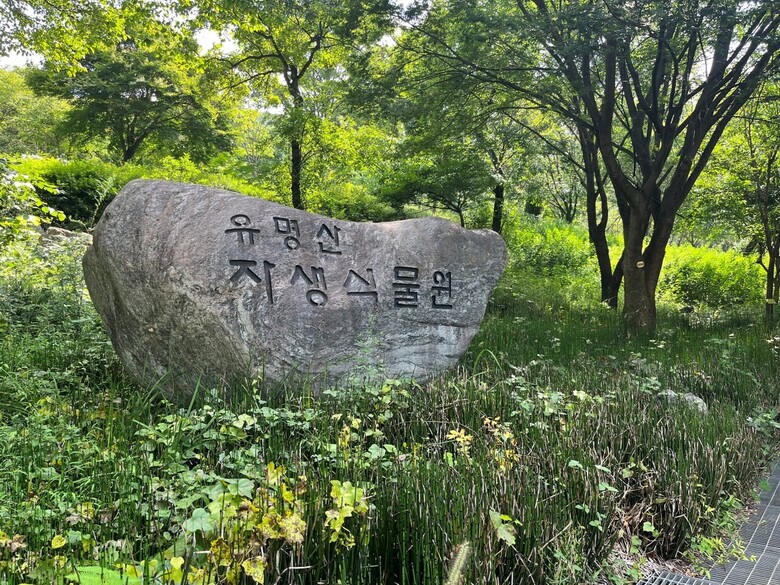 유명산 자생식물원(국립자연휴양림관리소 제공)