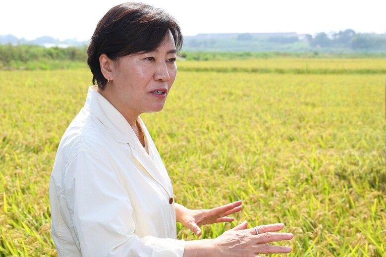 18일 충남 당진 벼 수확현장을 방문하여 올해 벼 작황과 산지 동향을 점검하고 있는 농식품부 송미령 장관. (농식품부 제공)