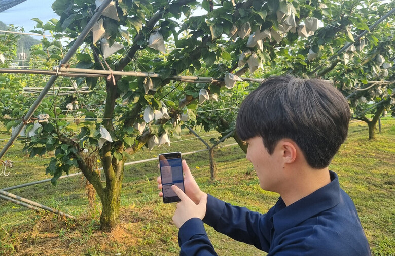 ‘농장 맞춤형 기상재해 정보서비스’ 알림톡 제공(전남농기원 제공)