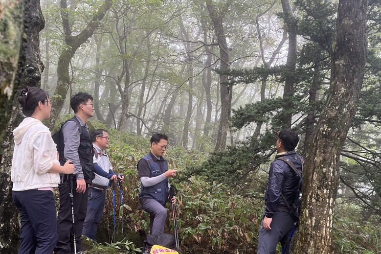 산림청은 멸종위기 고산 침엽수종을 보전하기 위한 현장토론회 개최(산림청 제공)