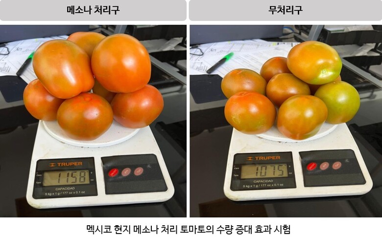 김동련 글로벌아그로 마케팅부문장은 “박람회 참가 및 해외 수출 등을 통해 당사 제품의 우수한 효과가 계속 입증을 받고 있어 기쁘다”며 “국내는 물론 세계 농업인의 효율적인 영농활동을 돕는 데 지속 앞장서겠다”고 말했다.(경농 제공)