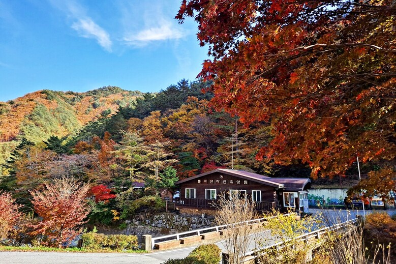 통고산자연휴양림 (산림청 제공)