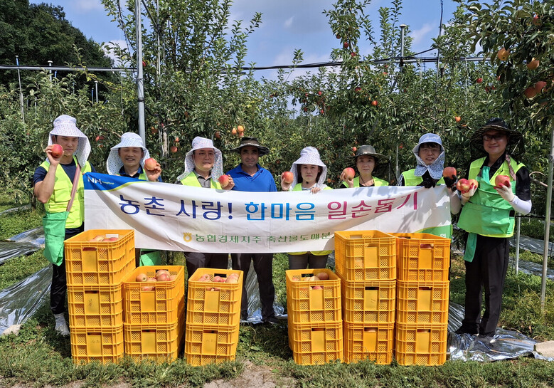 농협경제지주 축산물도매분사, 자매결연마을에서 일손 돕기(농협 제공)