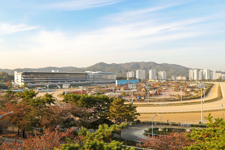 추석연휴 맞아 휴장하는 렛츠런파크 (마사회 제공)