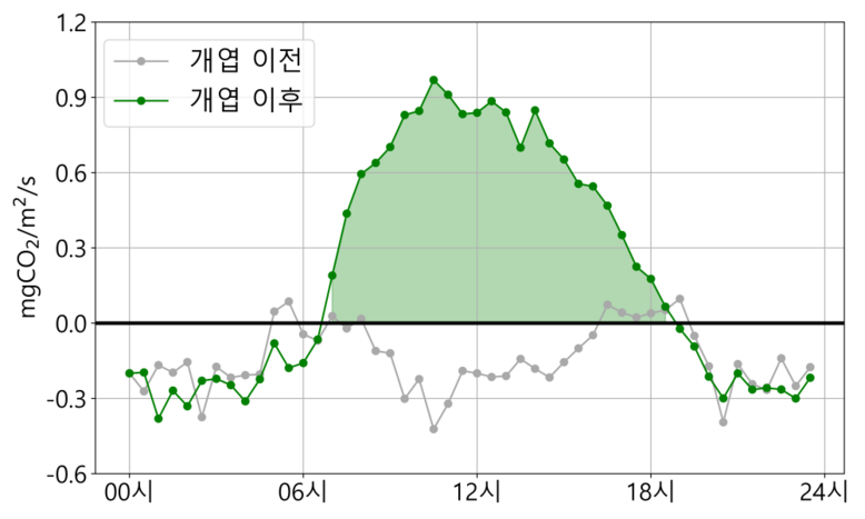 남산 신갈나무숲에서 관측된 시간대별 이산화탄소 흡수량