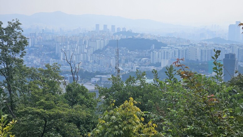 남산 신갈나무숲의 관측 탄소 시스템