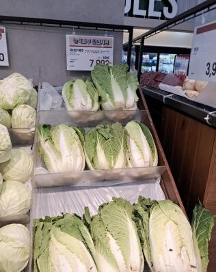 롯데마트