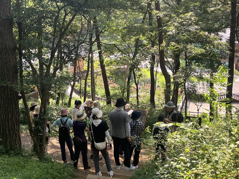 ‘23년도 산림복지 일자리 체험 사업 중 참가자들이 산림치유 프로그램을 받고 있다.(한국산림복지진흥원 국립나주숲체원 제공)