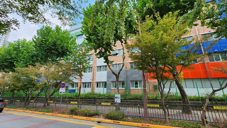 과천시, 가로수 넘어짐 사고 예방 조치 시행(과천시 제공)