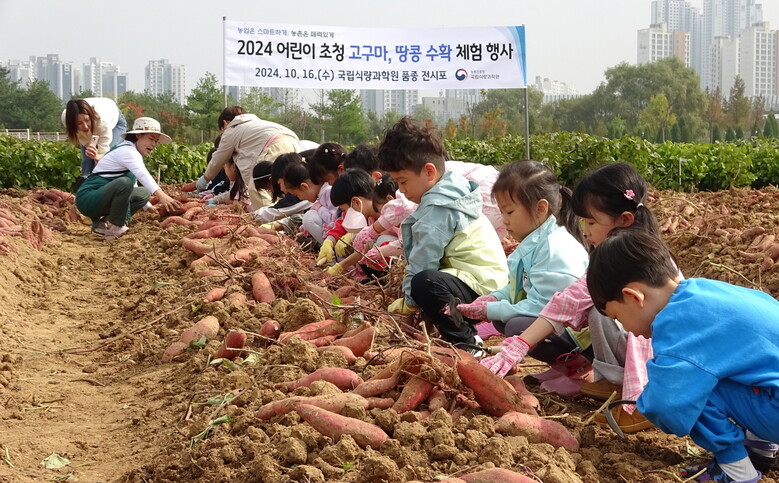 16일 전북 완주군 농촌진흥청 국립식량과학원 밭작물 전시포에서 열린 '2024 어린이 초청 고구마, 땅콩 수확 체험 행사'에 참가한 어린이들이 농산물 수확 체험을 하며 즐거워하고 있다.(농촌진흥청 제공)