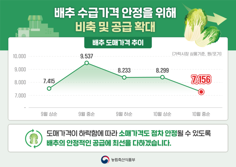 배추 도매가격은 하락세, 10월 하순부터 가격 안정 전망, 인포그래픽