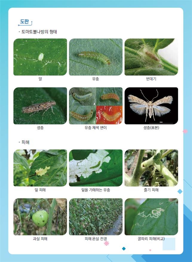 농진청 제공