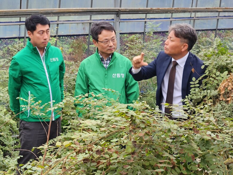 익산시 감초 재배임가을 방문해 감초의 고부가가치화 및 6차 산업화 성과를 점검(산림청 제공)