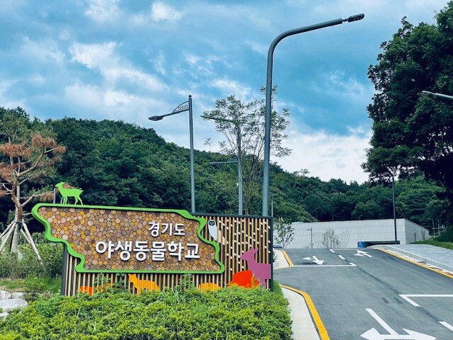 야생동물학교(경기도청 제공)