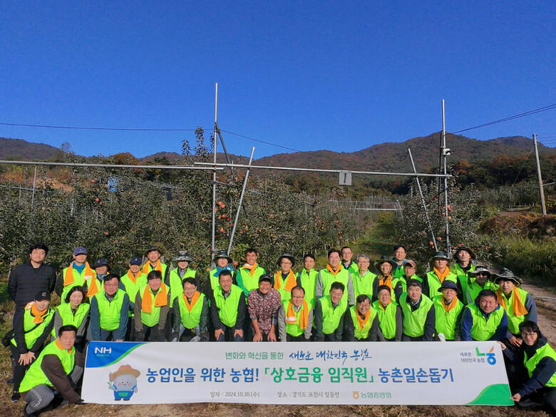 농협 상호금융, 수확기 농촌 일손돕기(농협 제공)