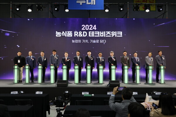 개막식 퍼포먼스