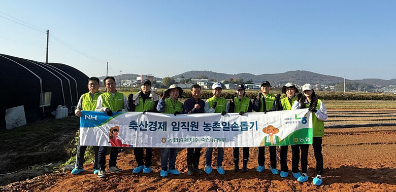 축산경제, 농가 일손 돕기에 동참(농협 제공)