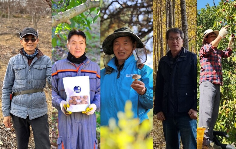 임업경영 모범사례(남부지방산림청 제공)