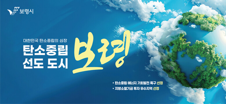 보령시청 제공