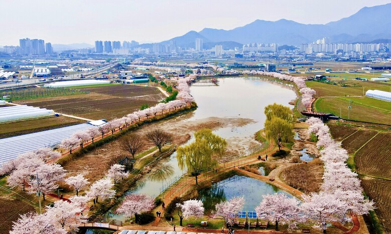 구미 ‘지산샛강생태공원’(산림청 제공)