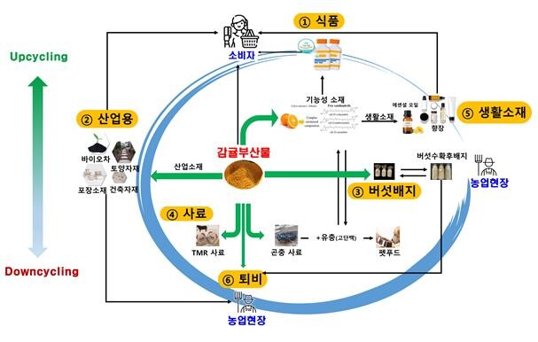 감귤부산물 새활용 자원화 모형(모델) 제시