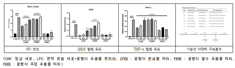 꽃벵이 추출물 대식세포 처리 시 면역 관련 인자 유도 및 기능성 다당체 구조