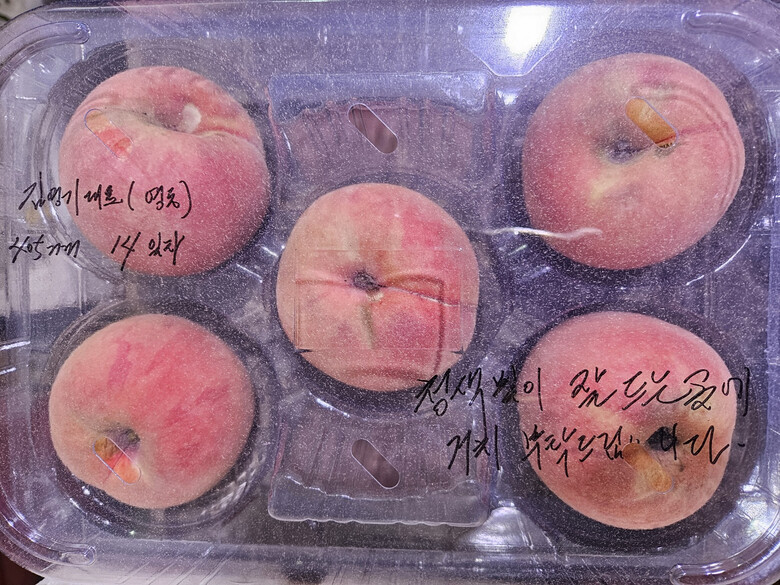 광(光)기술로 복숭아 저장기간 늘인다.(한국농업기술진흥원 제공)