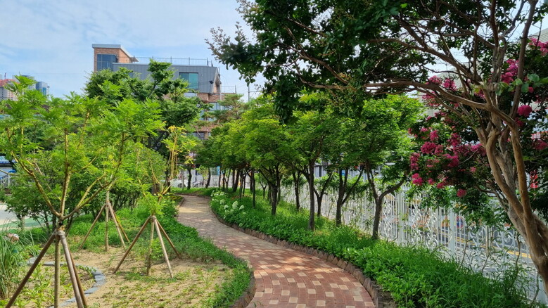 다양한 수목과 화초류를 심은 대구 수성 ‘황금초등학교’(산림청 제공)