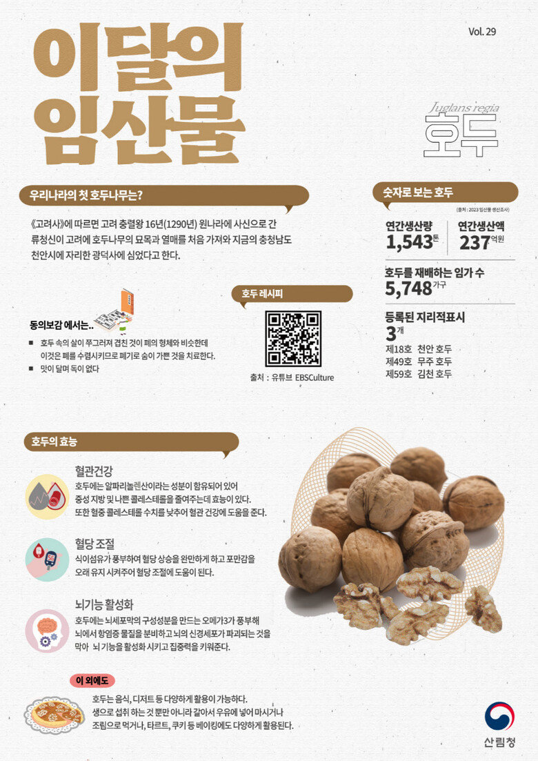 11월 이 달의 임산물(호두)