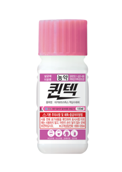 퀸텍(액상) 100ml