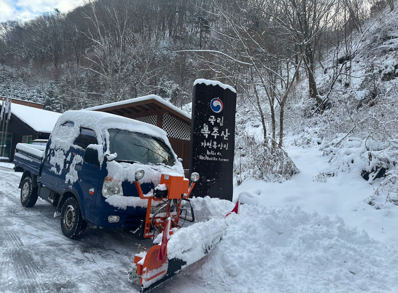 국립 복주산 자연휴양림 제설광경(산림청 제공)