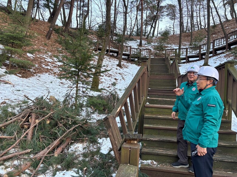 남태헌 한국산림복지진흥원장이 양평군 양동면 국립하늘숲추모원에서 폭설 피해상황을 점검하고 있다.(한국산림복지진흥원 제공)