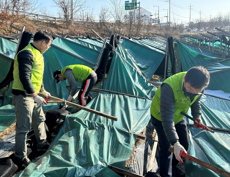 경기 이천시 폭설 피해농가 복구 지원(농협 제공)