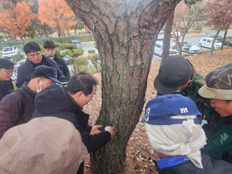 한국임업진흥원-계명대학교 소나무재선충병 관리 협력체계 구축(한국임업진흥원 제공)