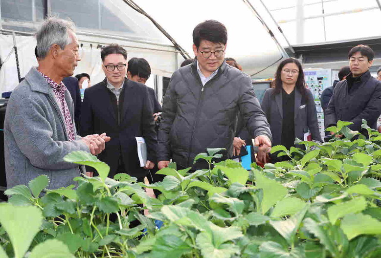 권재한 농촌진흥청장은 17일 충남 아산시에서 최고농업기술명인(딸기) 재배 농가를 찾아 딸기 재배, 교육 현장을 살펴보고 농민들과 소통의 시간을 나누고 있다.(농촌진흥청 제공)