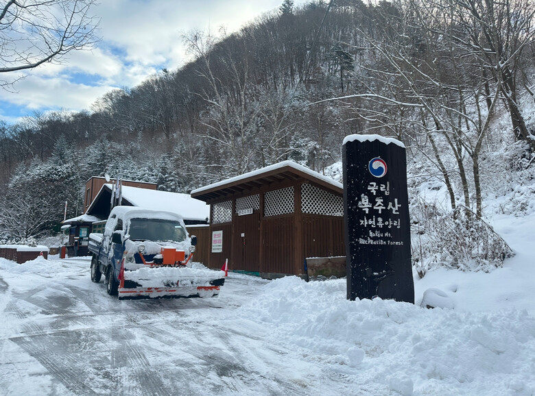 지난 11월말 국립복주산자연휴양림에서 제설 작업을 하고 있다.(산림청 제공)