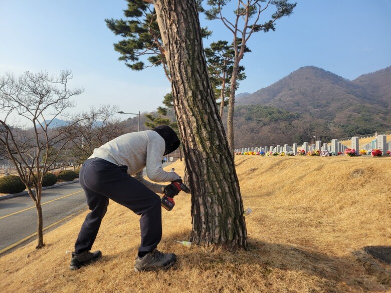 대전현충원 소나무재선충병 피해관리 협력체계 구축(한국임업진흥원 제공)
