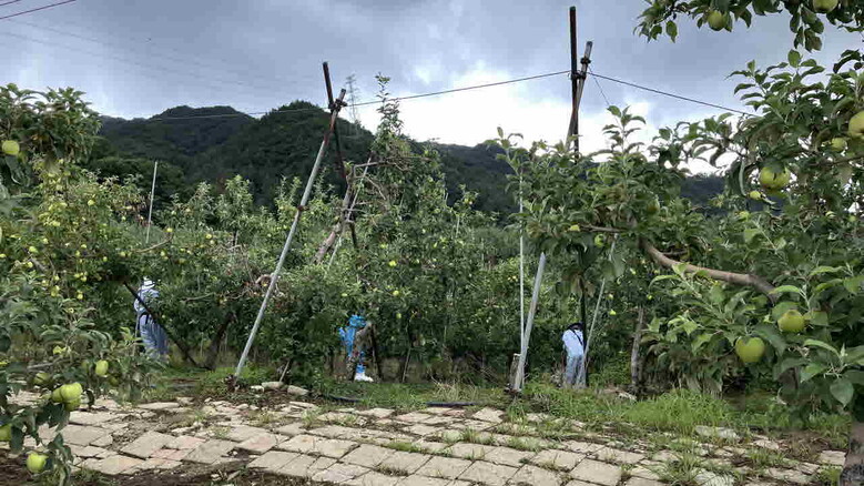 산학연협력- 조기예찰기술(농진원 제공)