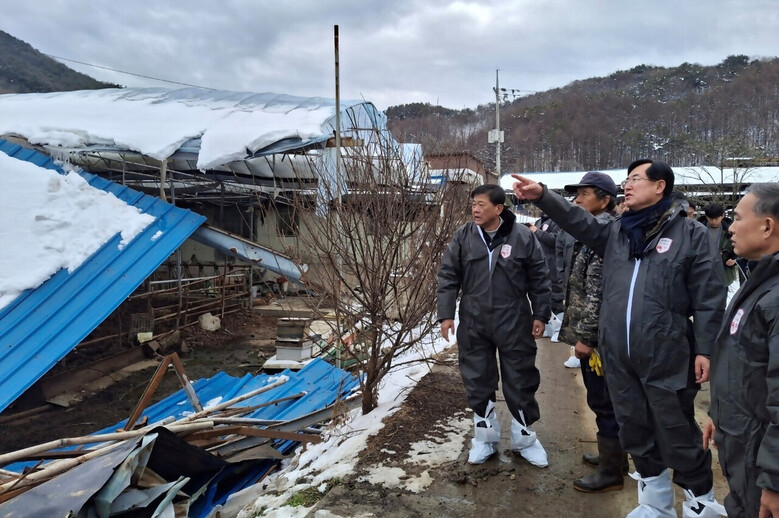 안병우 농협 축산경제대표이사, 전북 완주군 폭설 피해 축산농가 방문점검(농협 제공)