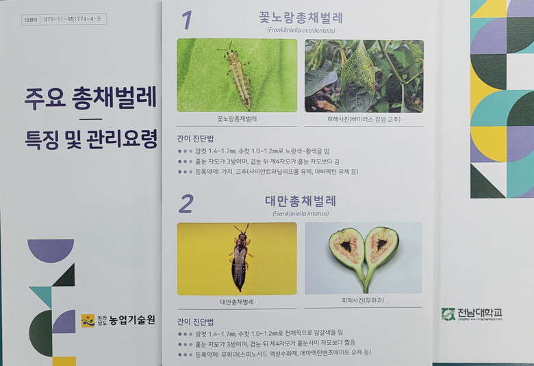 주요 총채벌레 특징 및 관리요령 수록한 리플릿(전남농기원 제공)