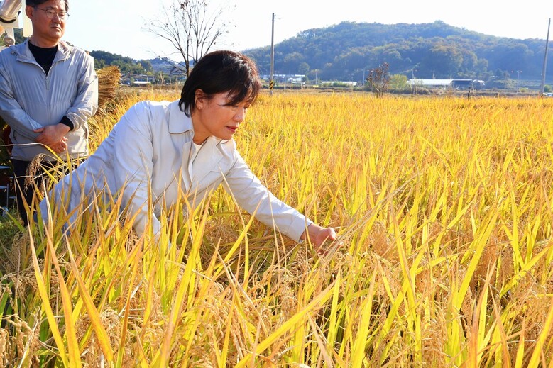 자료 DB / 농식품부 제공