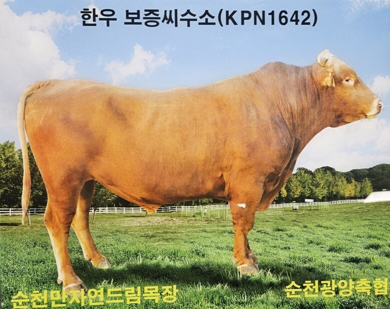 순천광양축협 자연드림목장 KPN1642