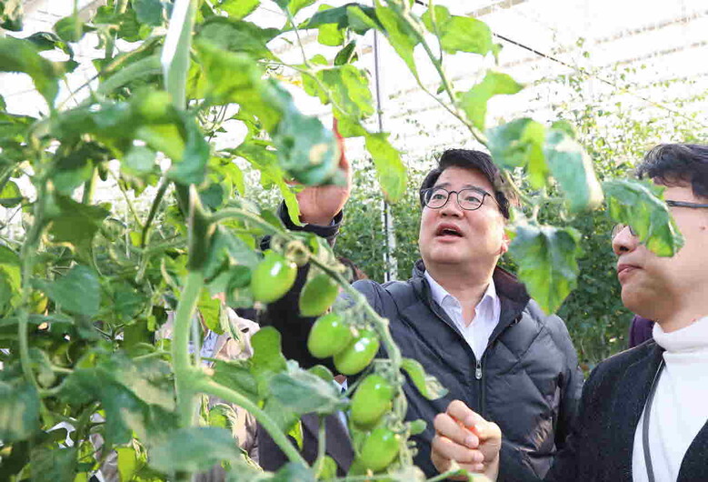 뒤영벌 스마트 사육시설 점검(농진청 제공)
