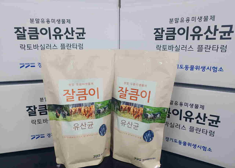 분말 유용미생물 ‘잘큼이’ 유산균(경기도청 제공)