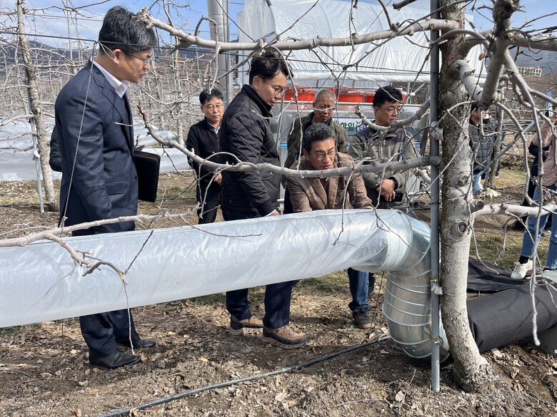 국립원예특작과학원 김명수 원장이 사과 저온피해경감기술 적용 현장을 점검하고 있다.