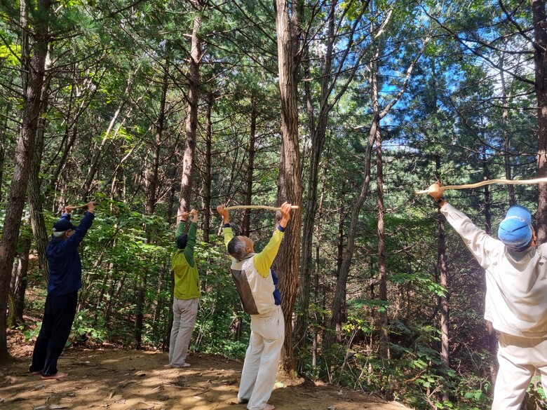 산림청 국립자연휴양림관리소 제공